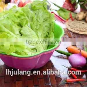 New Design Salad Bowl Plastic / Plastic Salad Bowl thumbnail-1