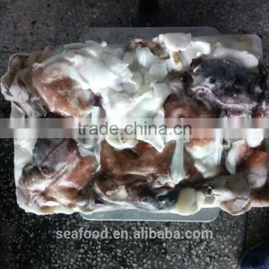 Frozen Giant Squid Neck (DOSIDICUS GIGAS ) thumbnail-1