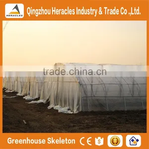 Heracles Low Cost Mini Greenhouse thumbnail-5