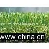 Synthetic Grass BN40215120(4 Tone) thumbnail-1