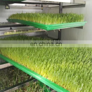 Commercial Rabbits Fodder Making Machine / Hydroponic Culturing Barley Breeding Machine for Sale thumbnail-6