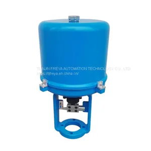 Linear Electric Actuator for Control Valve 381lxa-08 381lxa-20 thumbnail-1