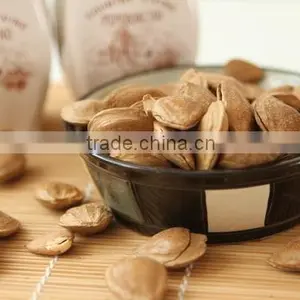 Bulk Dry Bitter Apricot Kernel thumbnail-1