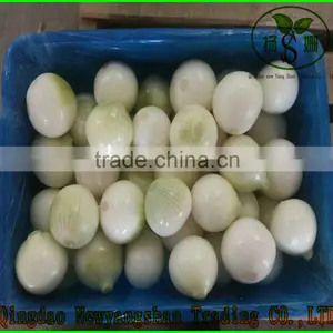 Export Fresh Onion Spcification 7-9cm In Wholesale Price thumbnail-4