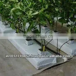 PLANT GROWBAGS thumbnail-2
