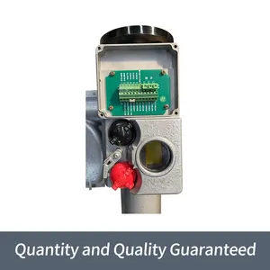 Bernard Intelligent High-power B+RS1000/F105Z Angle Travel Electric Actuator thumbnail-5