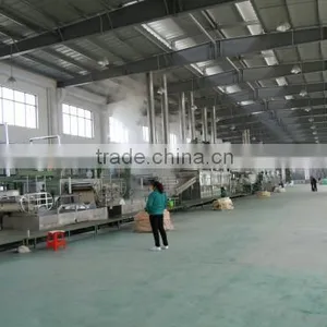 Polyester Fiber Production Line thumbnail-1