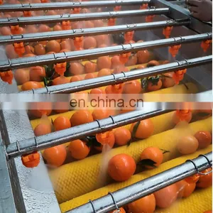 Fruit Waxing Sorting Machine /Apple Waxing Machine / Citrus Waxing Machine Sorting Machine thumbnail-3
