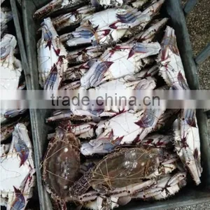 Foods of Crab thumbnail-2