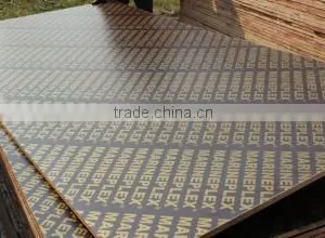 Black Film Faced Plywood 1220*2440*16mm thumbnail-1