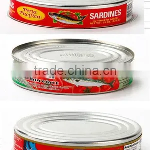 Oval Canned Sardine thumbnail-5