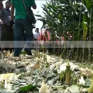 2 Rows 32hp Mini Corn Harvester thumbnail-5
