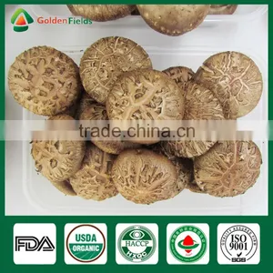 Shiitake Mushrooms 1kg,Wild Shiitake Mushrooms,Shiitake Mushroom Plugs thumbnail-1