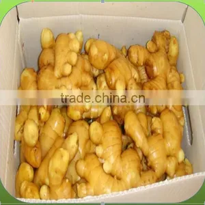 GINGER PRICE IN CHINA thumbnail-2