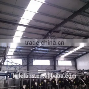 24FT HVLS Large Industrail Ceiling Fan In Livestock Farm thumbnail-1