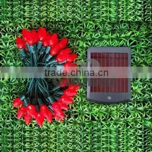 LED Solar String Light(C7 Strawberry) thumbnail-1