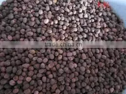 Kapok Seed Meal thumbnail-5