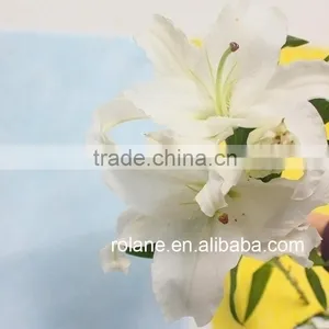 Cheap Whole Sale Lily For Cut Flower For Banquets thumbnail-3