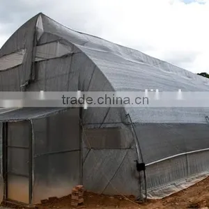 Greenhouse Film thumbnail-6