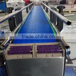 POM Modular Belt Conveyor With SUS304 Structure Profile thumbnail-1