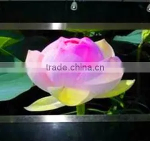 China Popular Products High Quality Full Color P6 Led Indoor Display Sign thumbnail-3