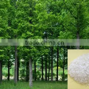 Super Absorbent Polymer SAP for Plant Root Water Retention Agent Quality Choice thumbnail-1