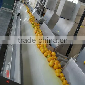 Citrus Juice Processing Line Orange Processing Equipment thumbnail-1