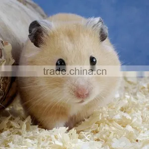 Animal Bed Savings Made by Wood Shaving Machine thumbnail-1