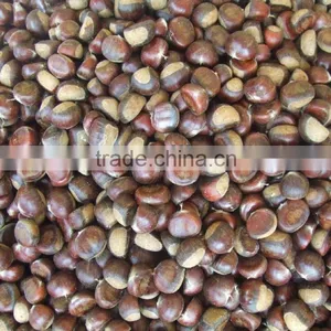 Nutritious Chestnut thumbnail-1