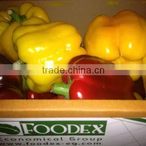 Fresh Pepper thumbnail-1
