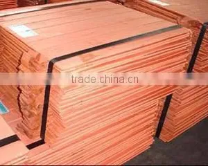 Qingdao Artluck International Limited company overview - view 3 thumbnail