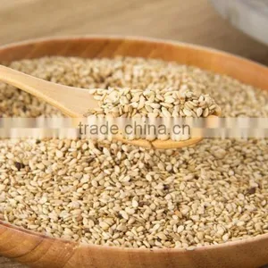 High Quality Hulled Sesame Seed thumbnail-1