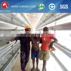 Used Poultry Equipment for Sale thumbnail-3