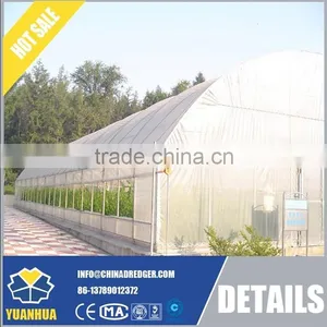 Experienced and Elegant Multi-Span Tunnel Green House thumbnail-3