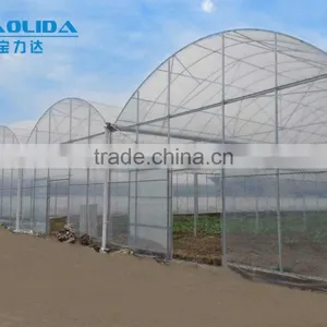 Factory Price BLD001 Plasctic Film Cover Greenhouse for Agricultural and Commercial Use thumbnail-6