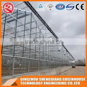 Simple and Practical Greenhouse Hydroponic Glass Greenhouse Frames thumbnail-6