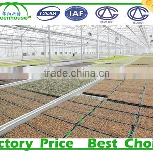 Multi-Span Type and Large Size PC Sheet Commercial Greenhouse thumbnail-1