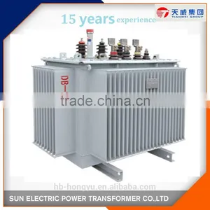 10kv Oil Immersed Distribution Special Transformer thumbnail-6