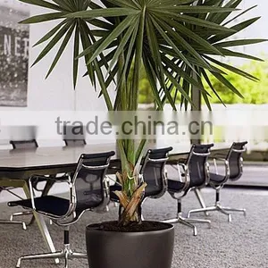 Ceramic Finish Flower Pot and Tree Planters for Garden thumbnail-2
