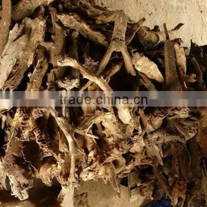 Aquarium Driftwood thumbnail-5