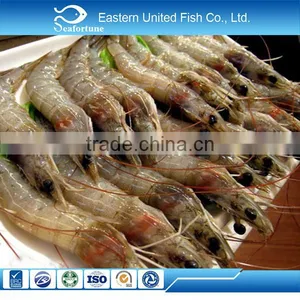 Wild Caught Shrimp thumbnail-1