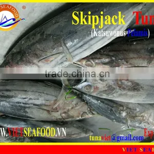 FROZEN W/R SKIPJACK TUNA thumbnail-1