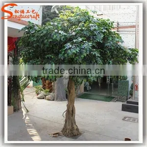 Landscaping Artificial Ficus Leaves for Decoration thumbnail-4