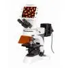 DMS-854 Digital LCD Fluorescence Microscope thumbnail-1