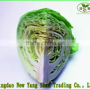 2015 Fresh Cabbages/Cabbage Exported to Southeast Asia, the Middle East thumbnail-3