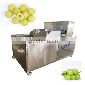 Peach Longan Cherry Sweet Date Olive Prune Destone Cherry Avocado Seed Removing Machine thumbnail-3