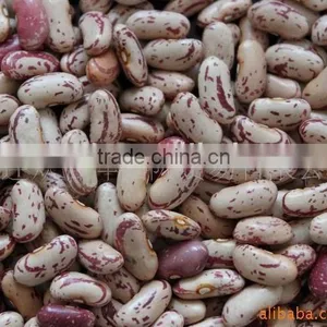 Light Speckled Kidney Beans thumbnail-1