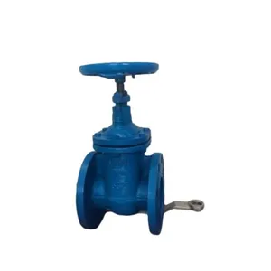 High Quality PN16 DIN DN200 Cast Iron Gate Valve Bronze Metal Seat Hard Seal Gate Valve thumbnail-6