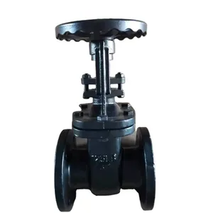 ANSI 125lb 150lb 3 Inch Cast Iron Flanged Gate Valve Brass Seal 2Cr13 Stem Bronze Seat Gate Valve for Pipe Connection thumbnail-1