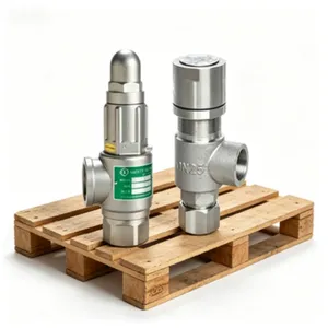 CB3022 Stainless Steel Safety Valve for Marine Compressed Air Systems thumbnail-4